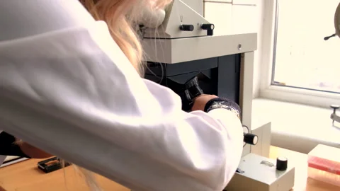 Examine in the laboratory under a microscope. Selective focus. Stock Footage 291685206