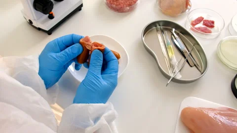 Examine meat in the laboratory. Selective focus. Stock Footage 305758746