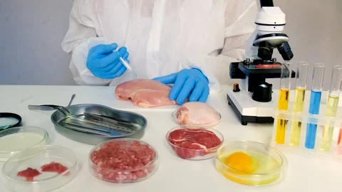 Examine meat in the laboratory. Selective focus. Stock Footage 305760071