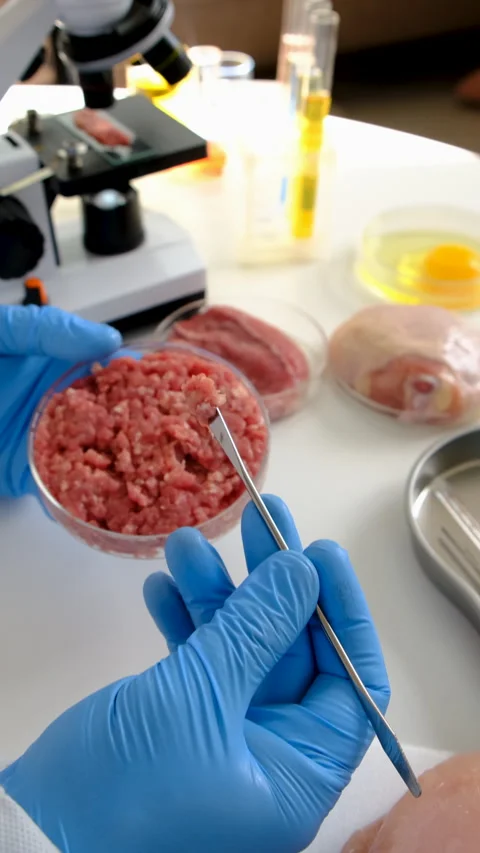 Examine meat in the laboratory. Selective focus. Stock Footage 305761729