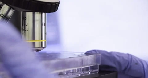 Examines the samples in the laboratory Stock Footage 201882096