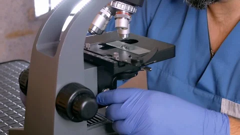 Examines samples in a microscope Stock Footage 117624203