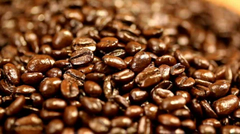 Examining coffee beans Stock Footage 311669