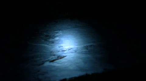 Examining footprints in the snow with the help of flashlight Vídeo Stock 36254323