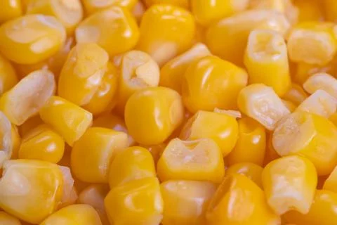 Examining intricate patterns and vibrant hues of corn kernels, Comprehensiv.. Stock Photos