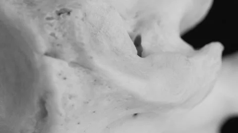 Examining piece of bone Stock Footage 132377315