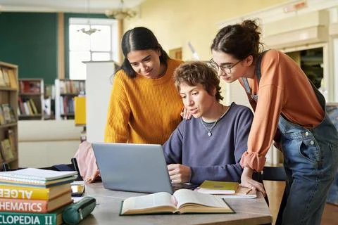 Examining Research Data on Computer in Library Setting Stock Photos