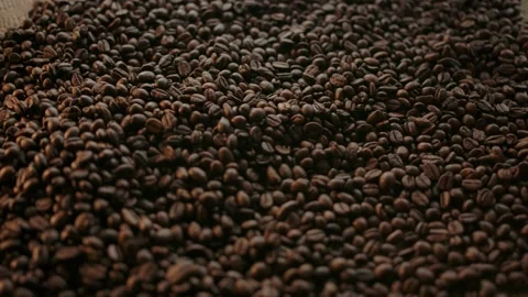 Examining roasted coffee beans from batch rotating on flat burlap slow motion Stock Footage 138523897