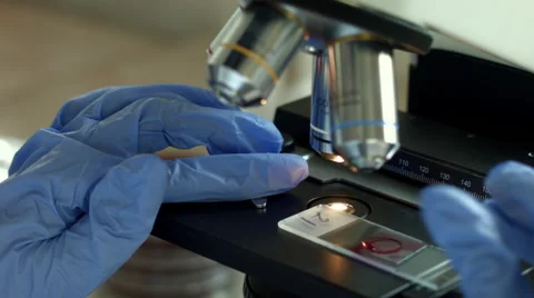 Examining sample with microscope in microbiology lab Vidéo 51980813