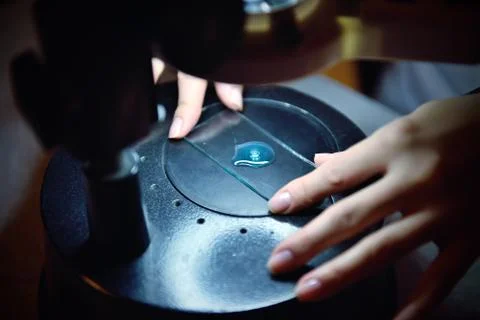 Examining samples and liquid Stock Photos