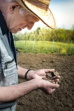 Examining soil Stock Photos