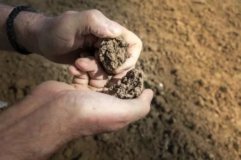 Examining soil Stock Photos