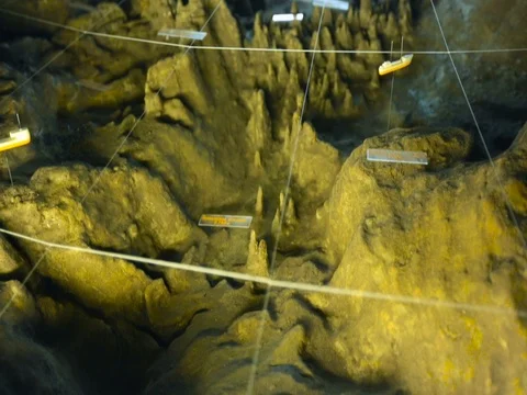 Examining the Surface Layout of the Seabed From the Bottom Up, the Ship's Video stock 71167504