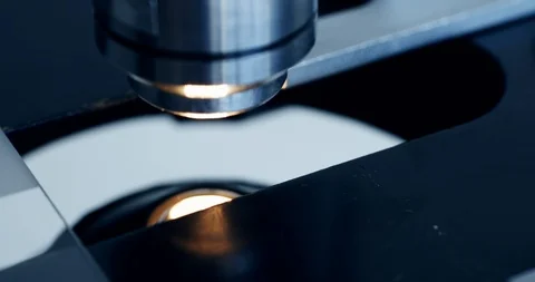 Examining of test sample under the microscope in laboratory. Stockbeeldmateriaal 88382436