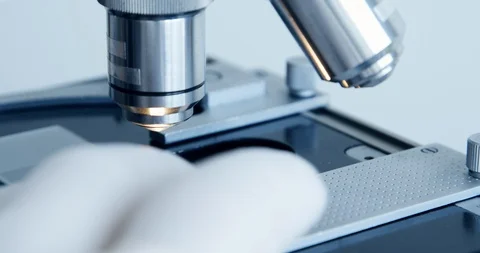 Examining of test sample under the microscope in laboratory. Stock Footage 88383791