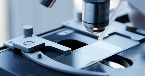 Examining of test sample under the microscope in laboratory. Vídeo Stock 88387183