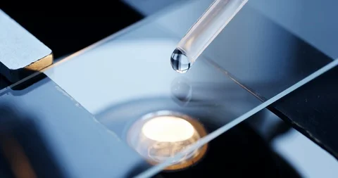 Examining of test sample under the microscope in laboratory. Stock-Footage 88387956