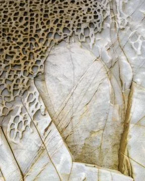 Example of alveolar wind erosion on a white rock sandstone Stock Photos