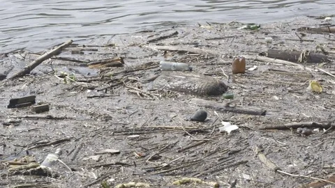 Example of environmental pollution of rivers Stock Footage 75702288