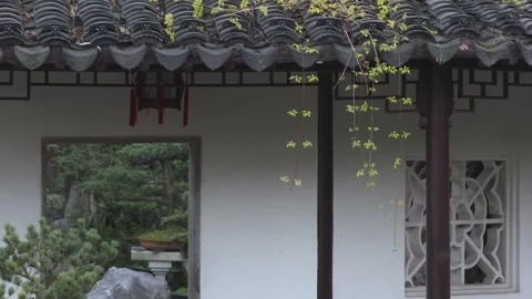 An Example of Framing in Zhan Garden, Nanjing, China Stock Footage 243065818