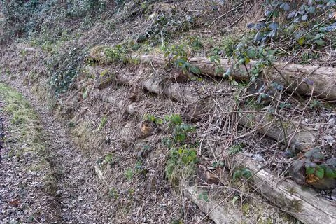 Example of green building: a landslide supported by natural trunks in middle of Stock Photos