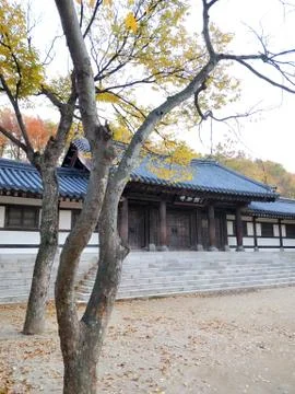 Example of Korean architecture with trees in foreground at Korean Folk Village 스톡 사진