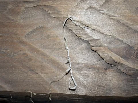 An example of the surface of manual processing of wood with an ax Stock Photos