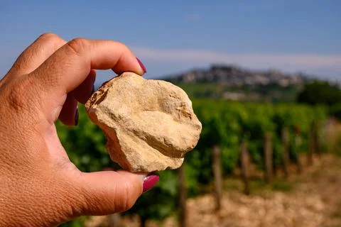 Example of terres blanches clay-limestone white soils on vineyards around S.. Stock Photos