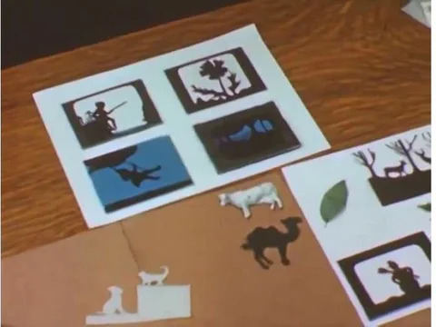 Examples of good silhouette objects are shown; pressing a leaf between two Stock Footage 74934620