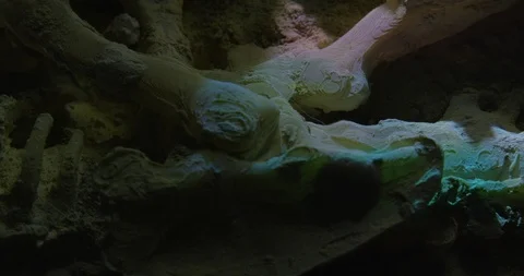 Excavating bones dinosaur in the sand, Skeleton Stock Footage 102492512