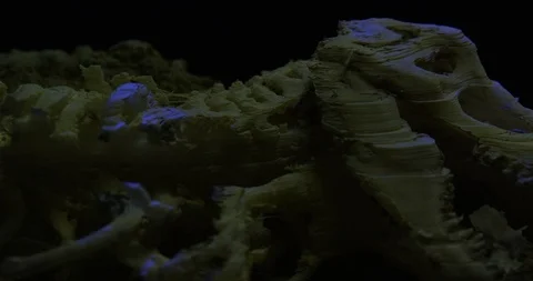 Excavating bones dinosaur in the sand, Skeleton Stock Footage 102494118