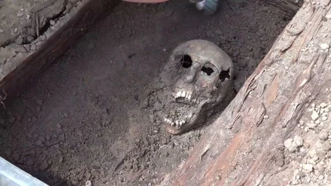 Excavating a skull in a grave Video stock 146647970