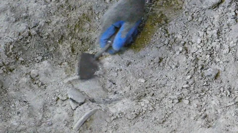Excavation of antiquities Video stock 50897344