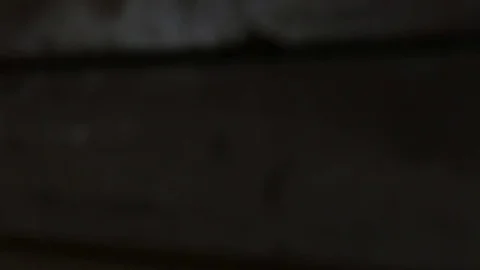 Excavation on construction site Stock Footage 77047844