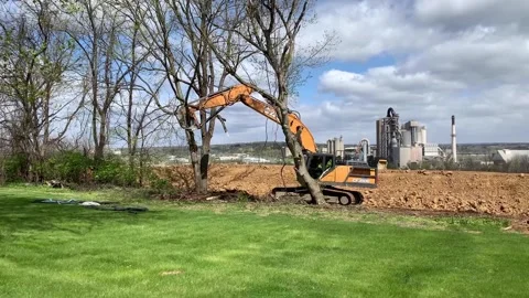 Excavation of large trees Stock Footage 152843631
