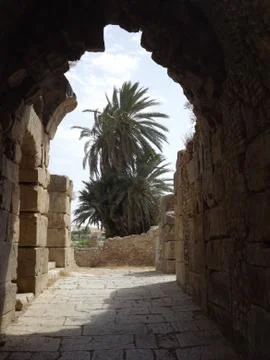 Excavations Stock Photos