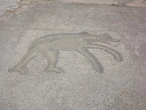 Excavations Stock Photos