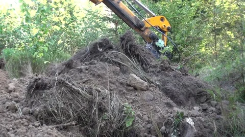 Excavator backhoe loader in the forest Stock Footage 239729485