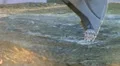Excavator Bucket Digging HD Footage