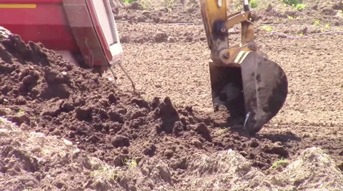 Excavator bucket loading truck Video stock 49543762