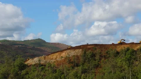 Excavator bulldozer rollers are working. Excavator and bulldozer in the forest 스톡 동영상 130885832