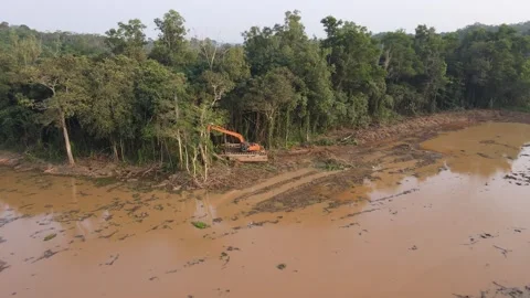 Excavator Clearing Forest Edge  Environmental Impact Drone Footage Video stock 309076822