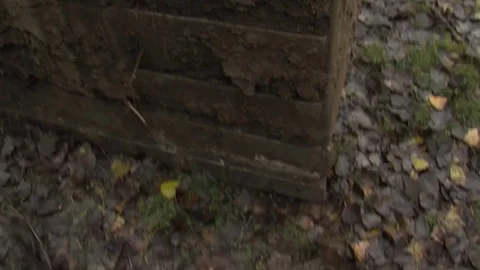 Excavator digging close-up Stock Footage 79611804