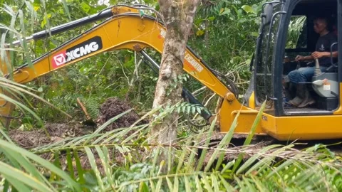Excavator digging a trench Stock Footage 303624170