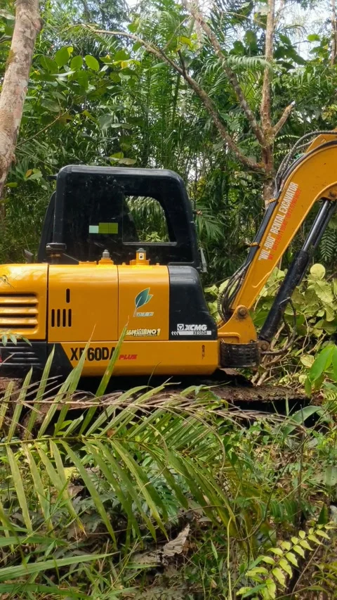Excavator digging a trench Stock Footage 303739296