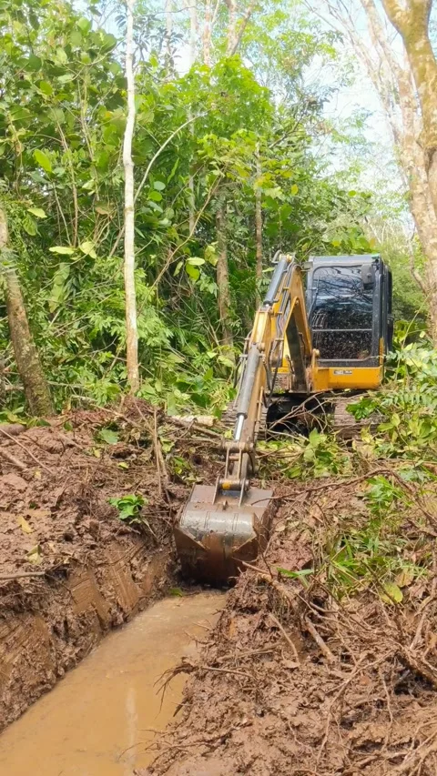 Excavator digging a trench Stock Footage 303740164