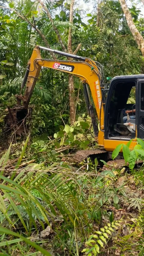 Excavator digging a trench Stock Footage 303740459