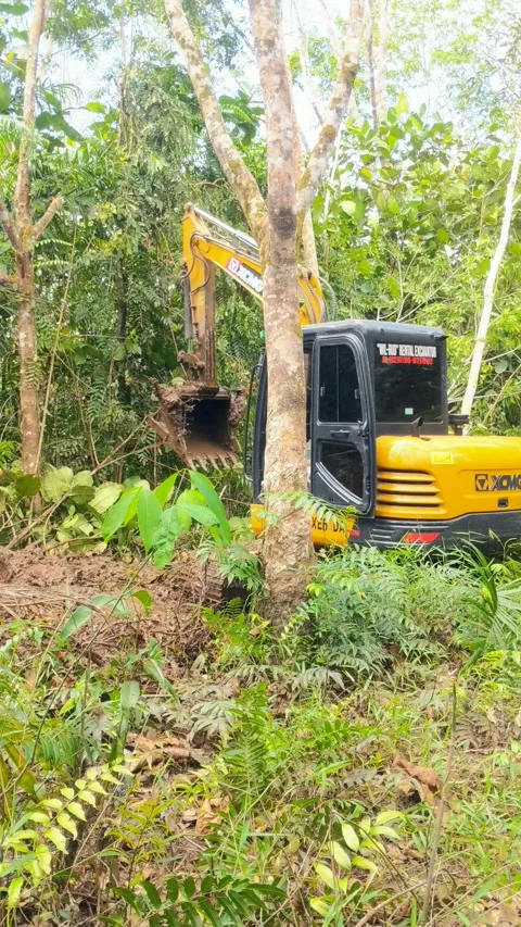 Excavator digging a trench Stock Footage 303740605