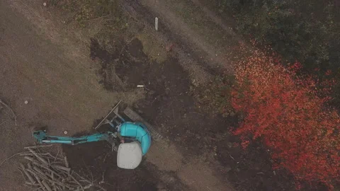 Excavator digs hemp from old trees Stock-Footage 120356962