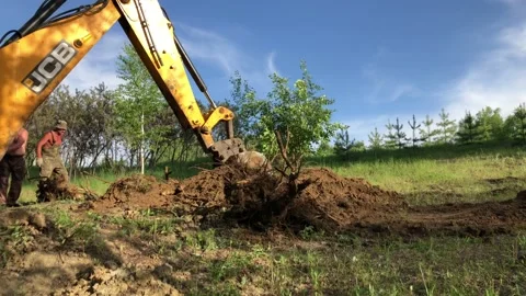An excavator digs up old tree roots. Stock-Footage 130876209